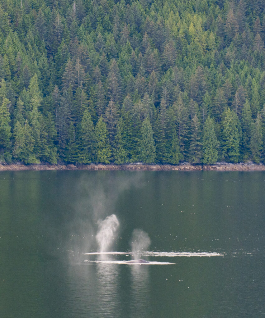 65b7b029 20c8 4d44 884f 404f01c6d628