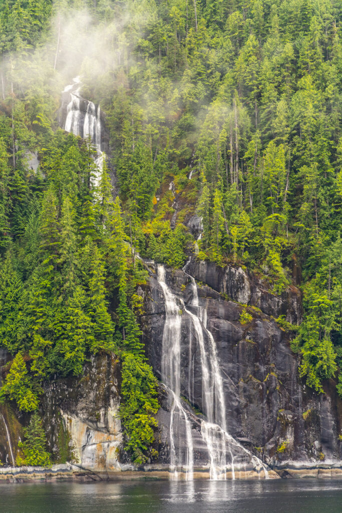 d667063e 8fa7 4dc6 a98c 1c36f8d496f6