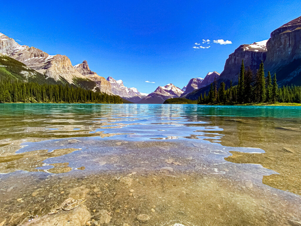 320fb0773a07496aa6cff3dd1416f49b