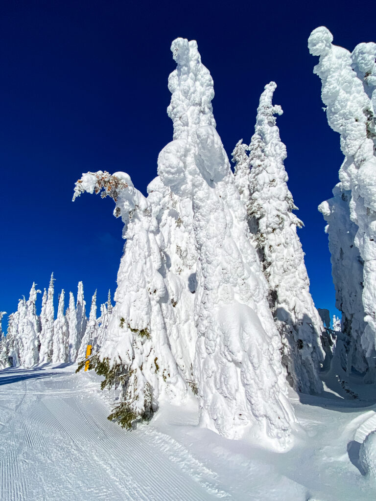 36ed9b6678644fde896a14884c3b82ed