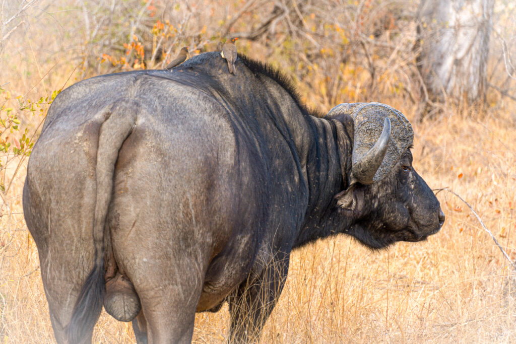 735f2105 b2d1 4fc4 8196 23b28e2e17ac