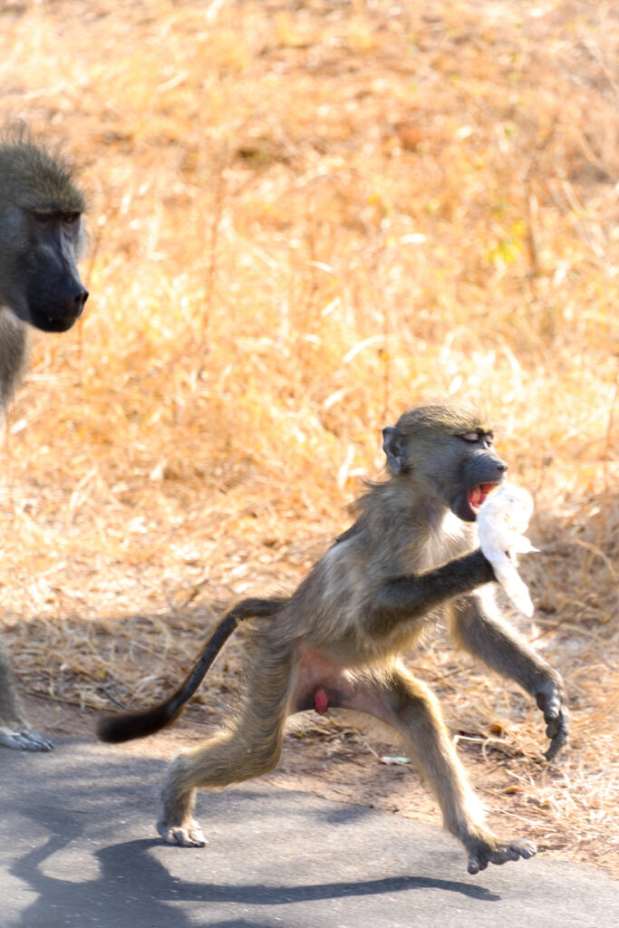 f0a64eb6 7a3b 4ac2 aecb 7a5ec9b5dd02