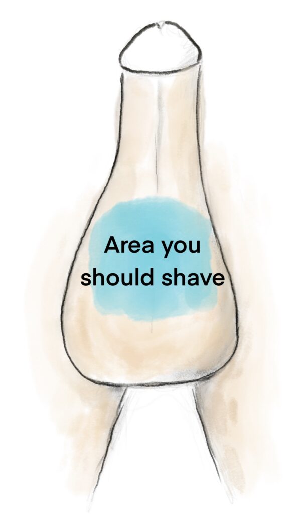 shavearea