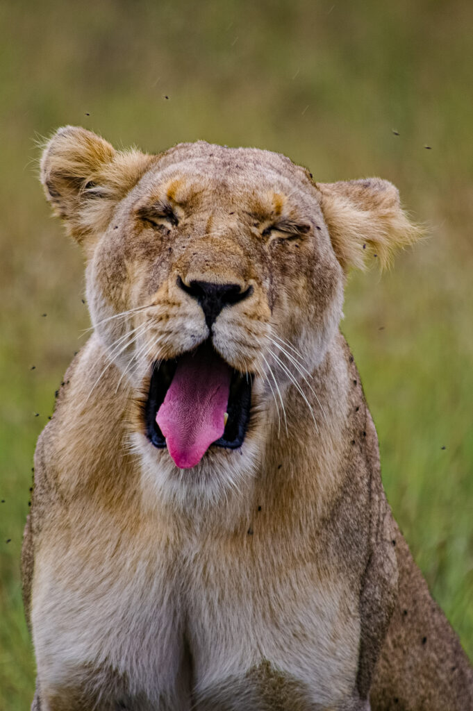 16105393696d4b1bbe0a597689d06846