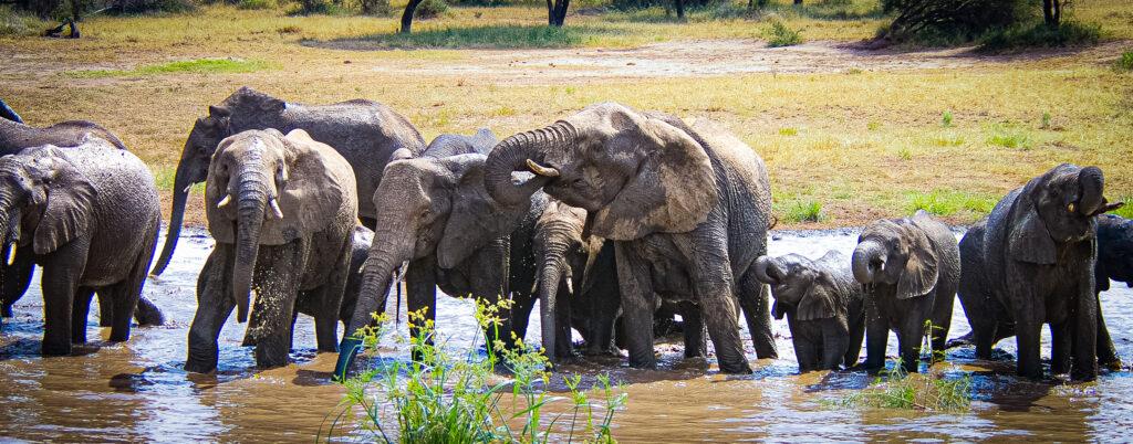 216b62fad7bb4d8ab546eee9d7495ca0