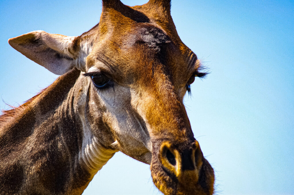 aa6d1f310db94c09b2ede038ef95564b