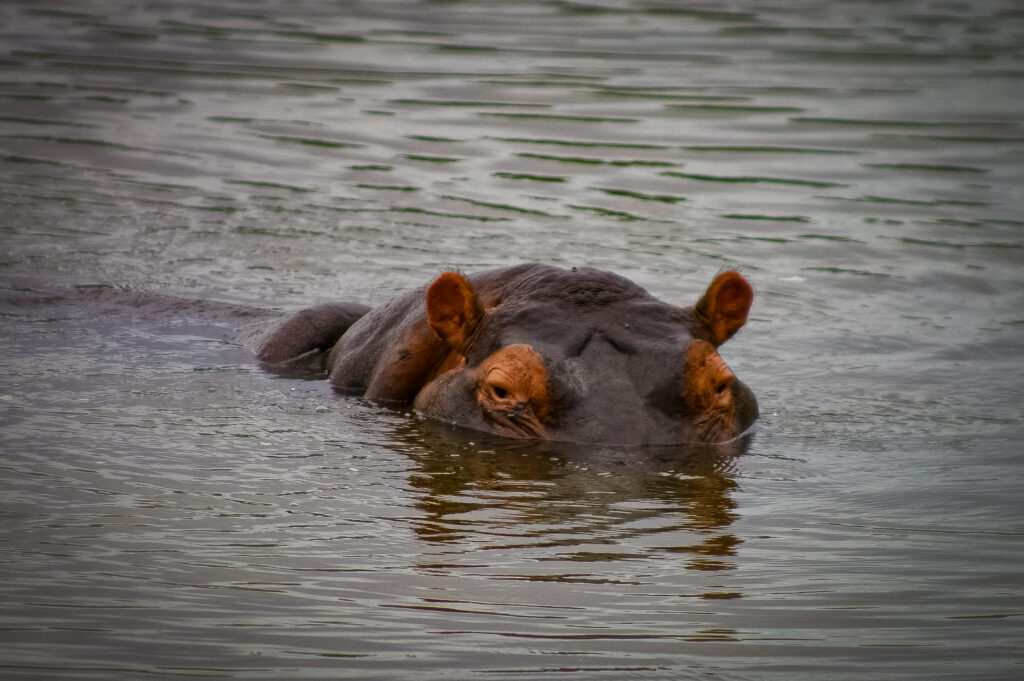 c170047f6fad4ad4b9e3eb73fc084465