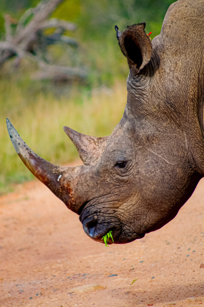 d2546ba72d3c433fb05a44fcfefed001