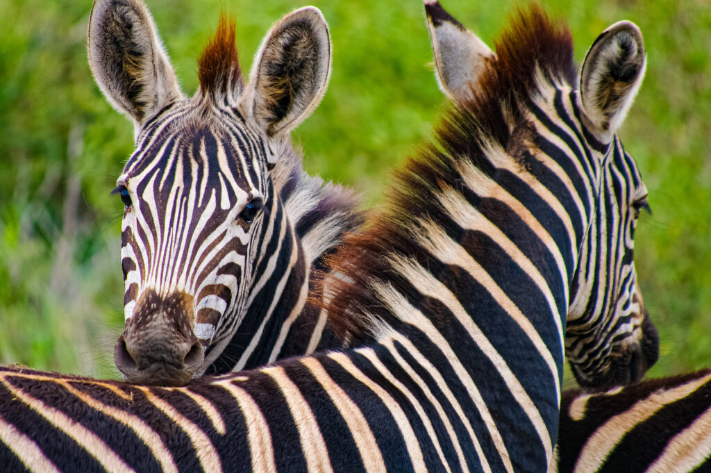 dbeb9a964c2f46fe9ffec3ad555f1cc7