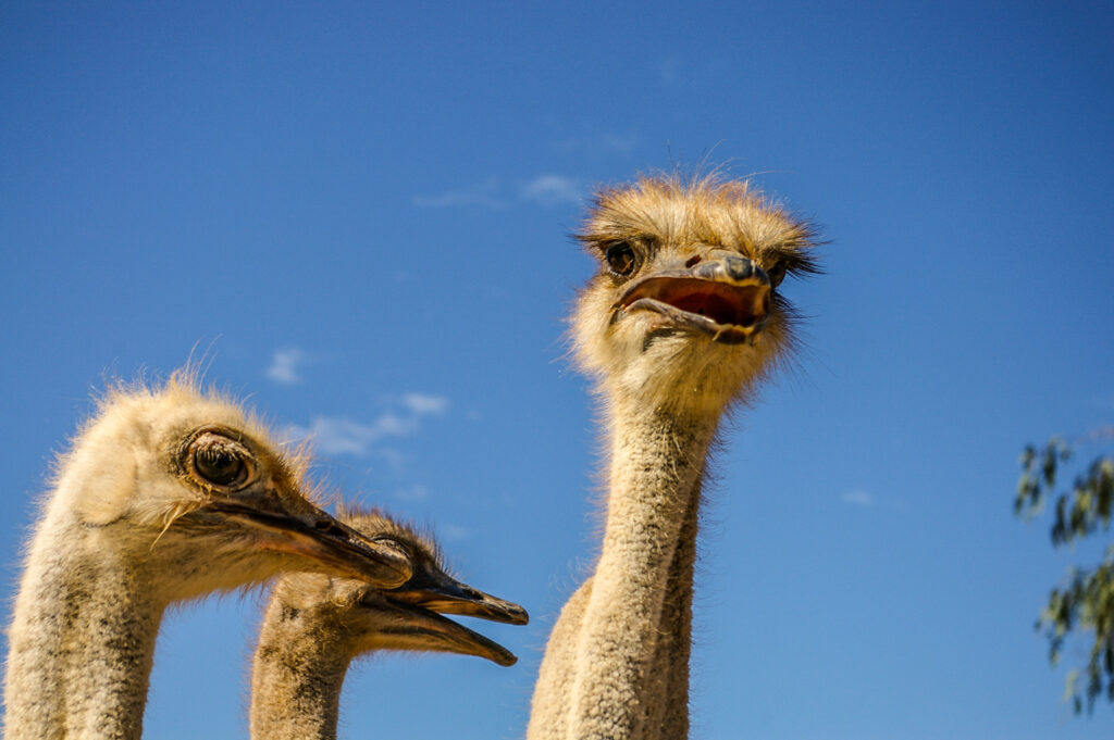 e3f701c6035341f6aa4156da4b8d0ba7